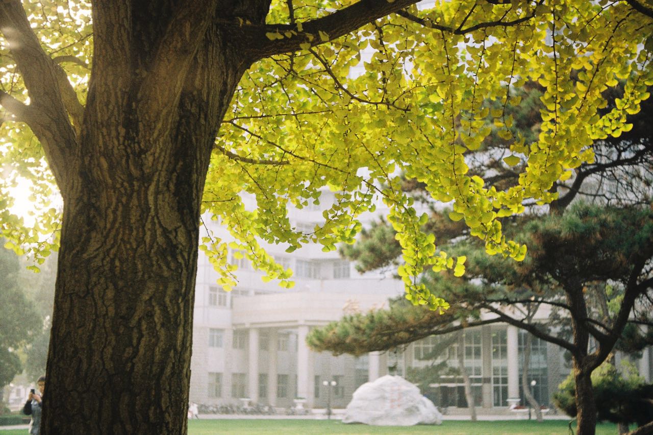 film-photo