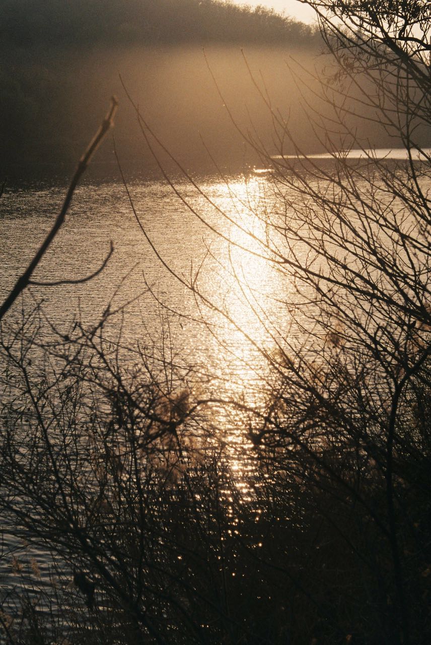film-photo
