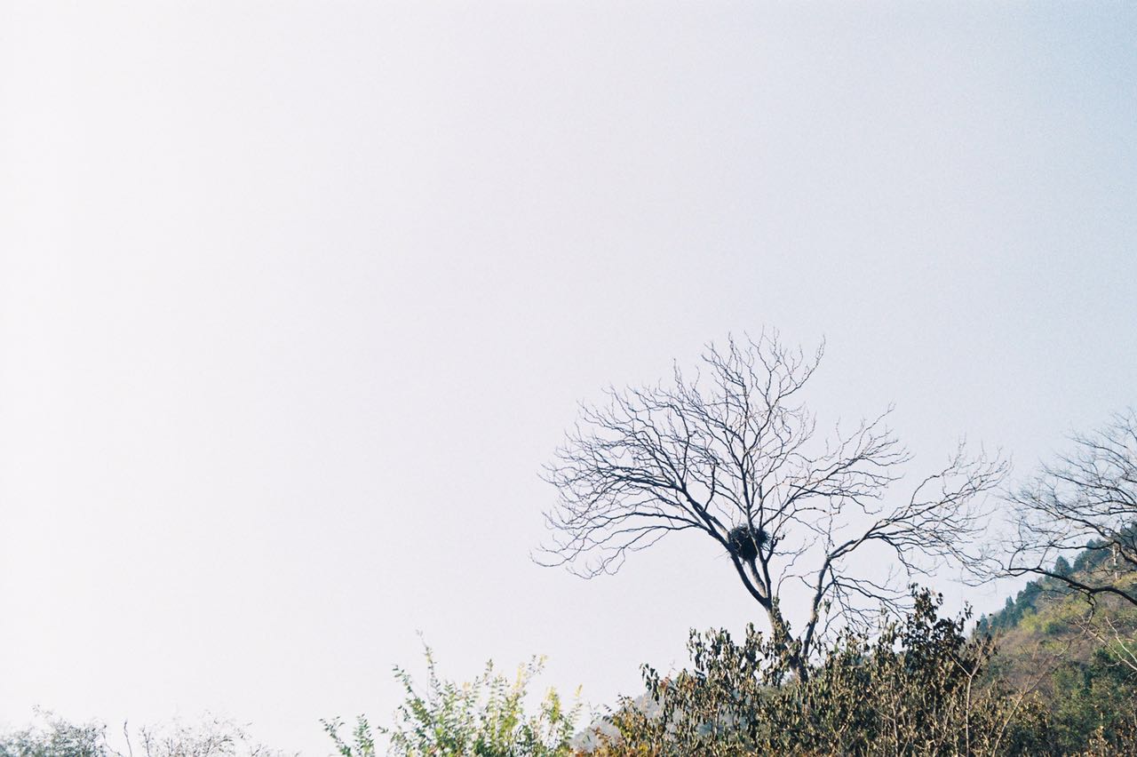 film-photo